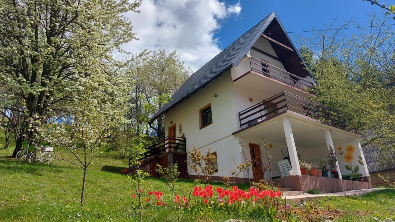 Ferienhaus Montenegrinabih, Petrovici, Istocno *